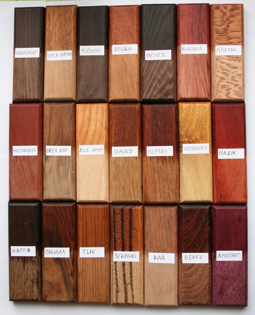 Дерево для мебели: самая дорогая древесина и лучшие породы для изготовления мебели с уникальной текстурой