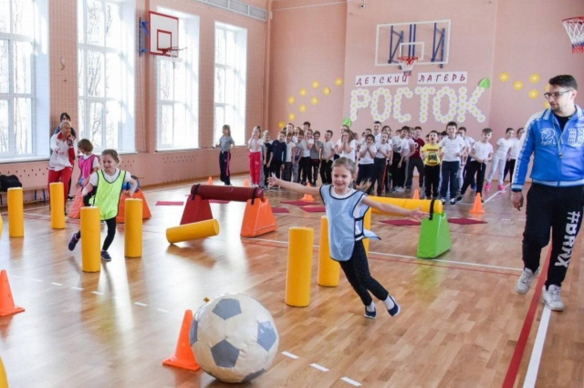    1595 детей отдохнули в школьных лагерях Мурманска