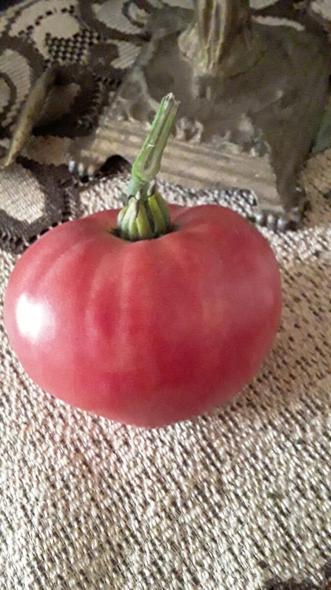 Вкусняшка!"Бычье сердце".