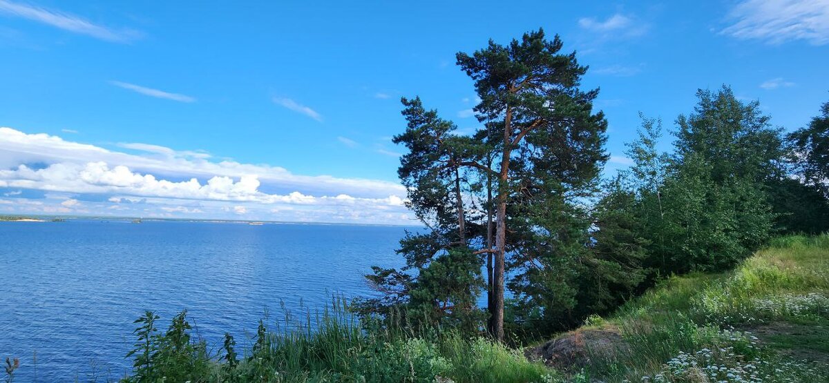 Из личного архива автора