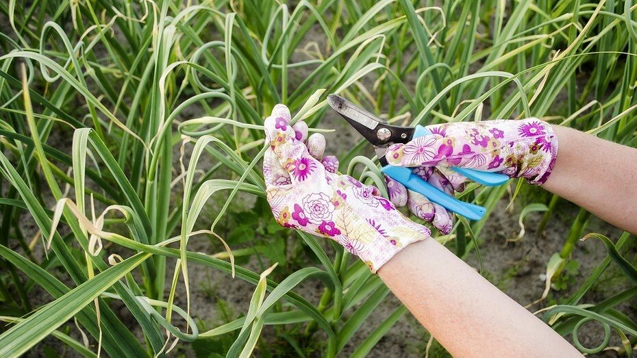 ShutterStock/Fotodom.ru 