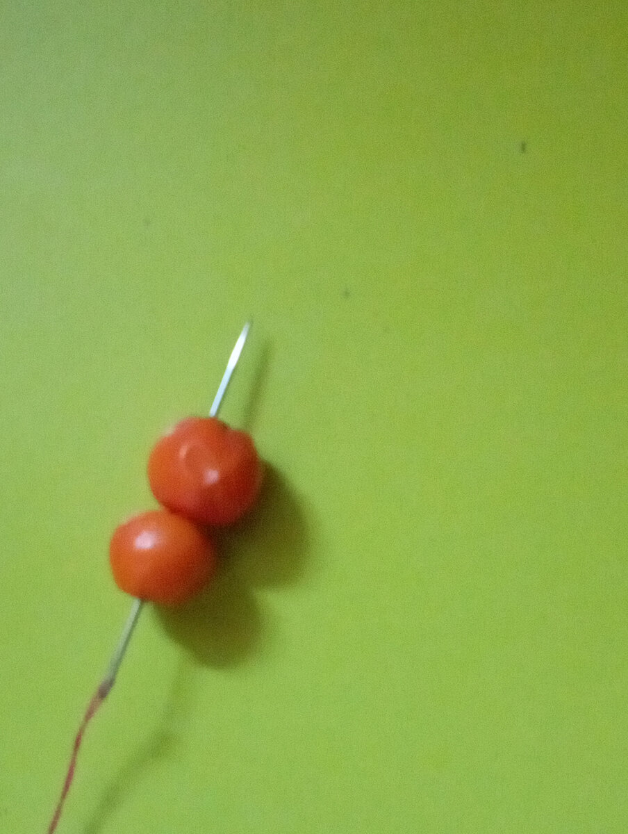 Нестандартное хобби