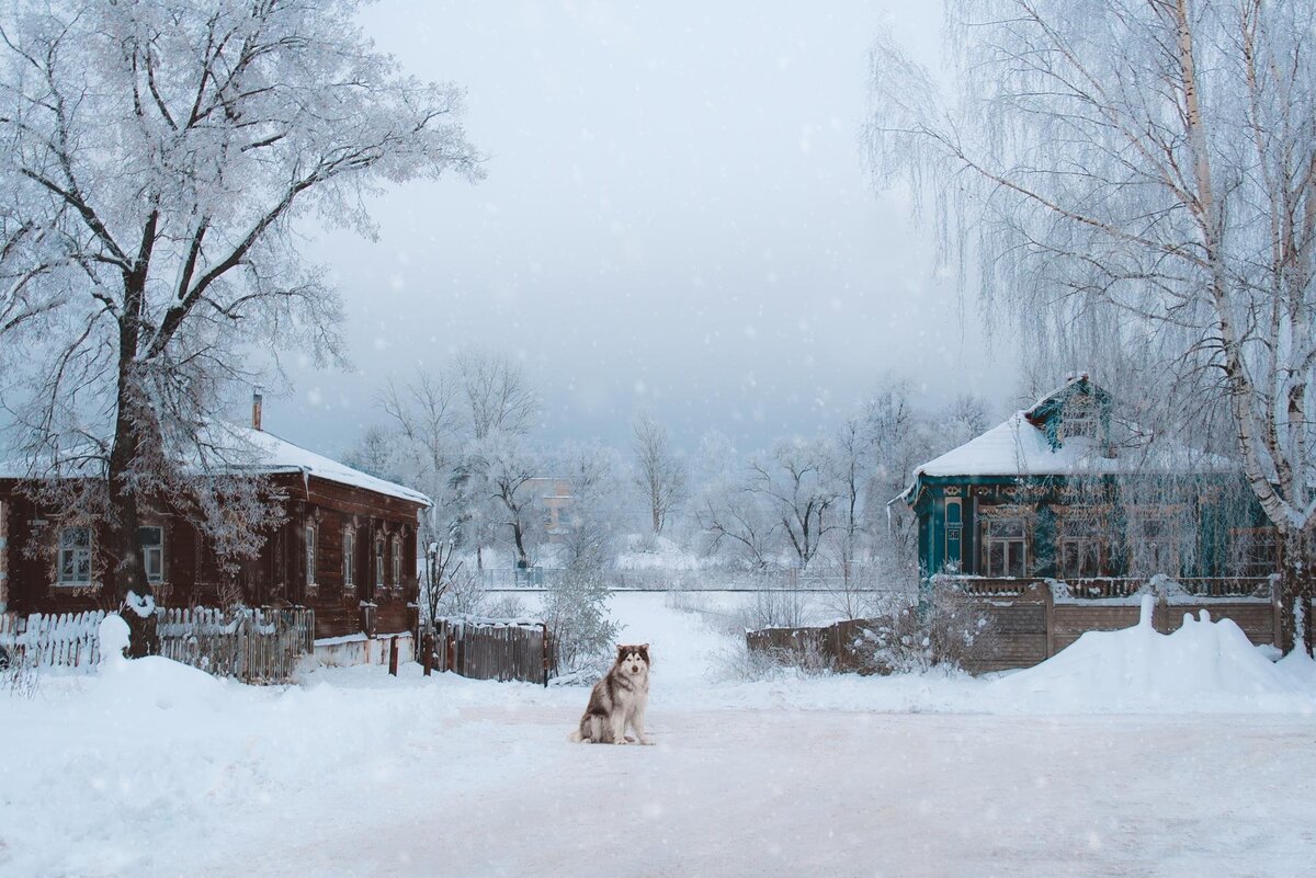 Яндекс картинки