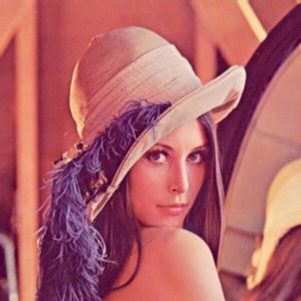 Лена Сёдерберг в 21 год Фото: Журнал «Playboy», ноябрь 1972 год