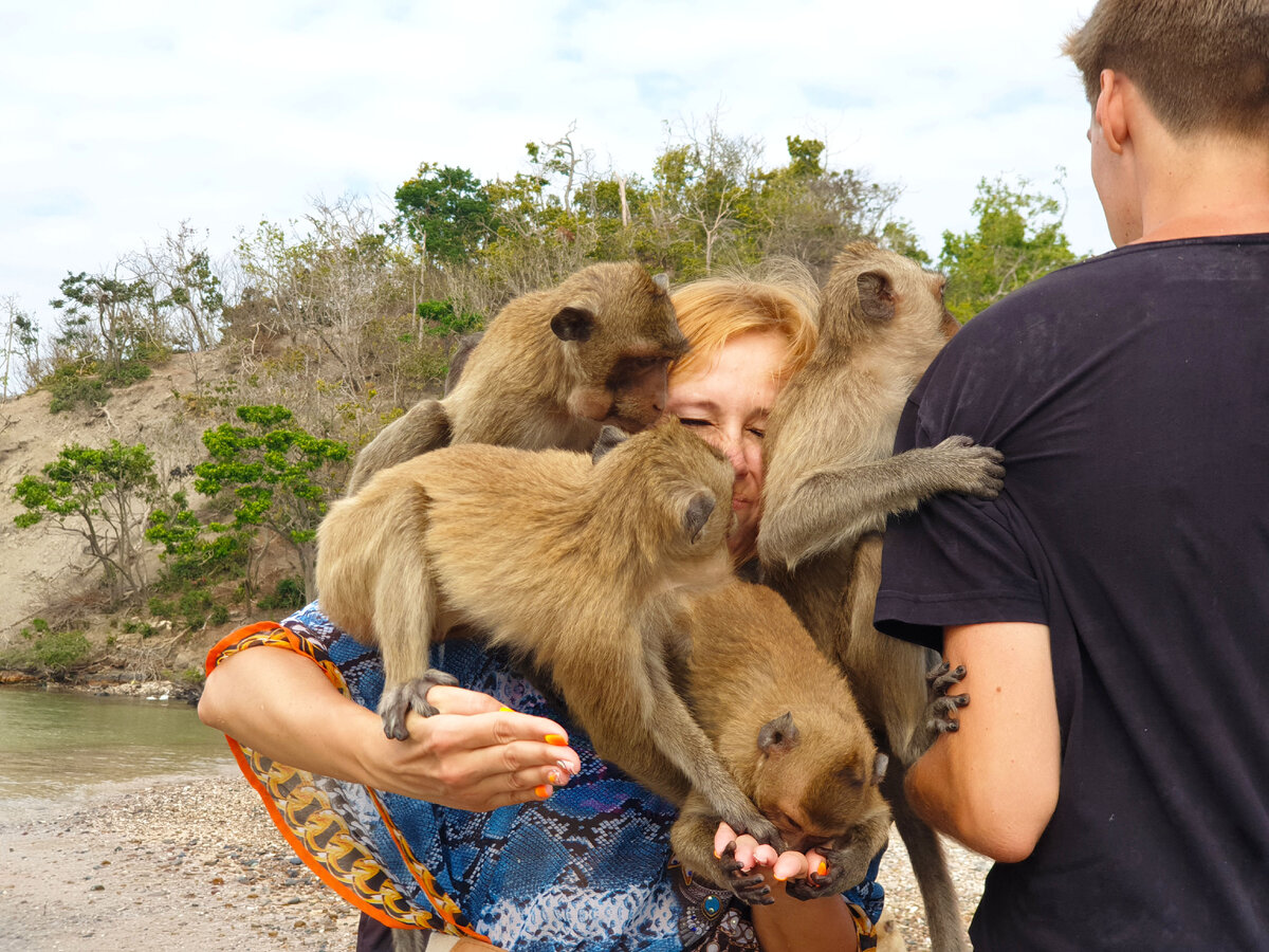 Фото с обезьянкой не желаете?