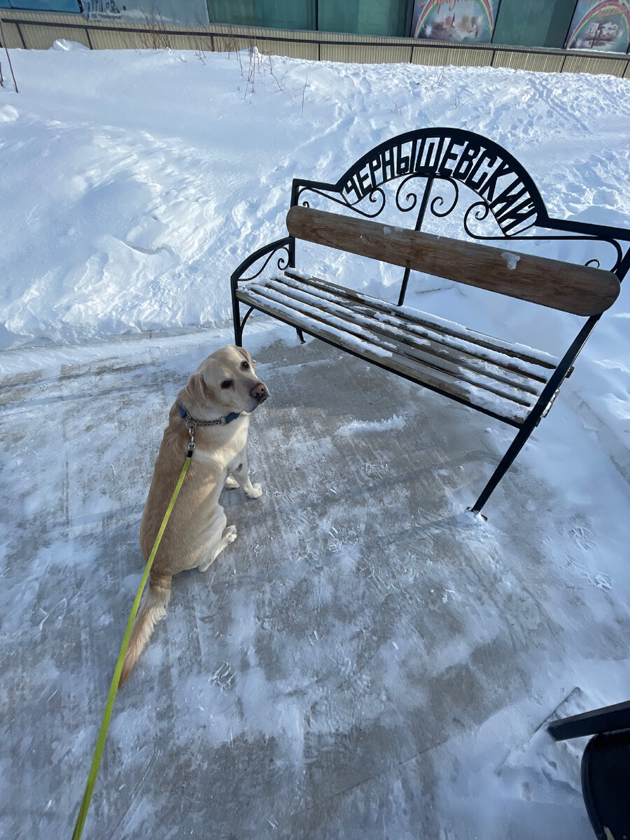 Лавочка возле универмага