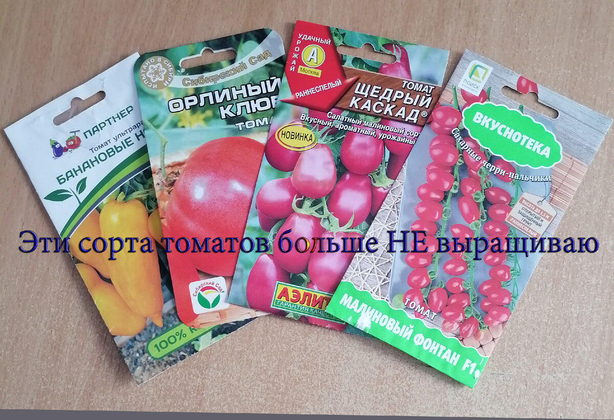 Эти сорта томатов больше не выращиваю.