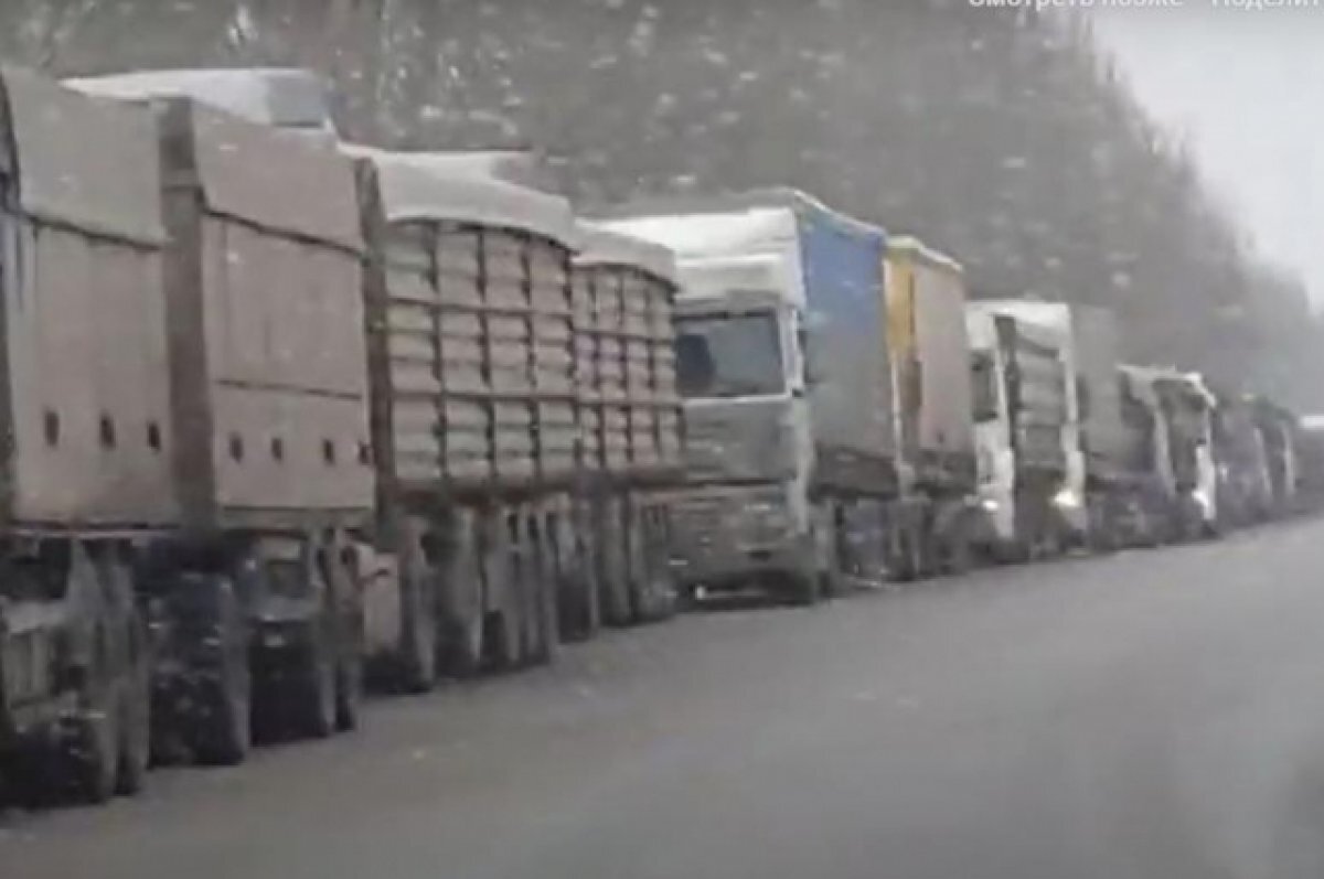    Рогозин пожаловался на пробки на пункте пропуска из донского региона в ДНР