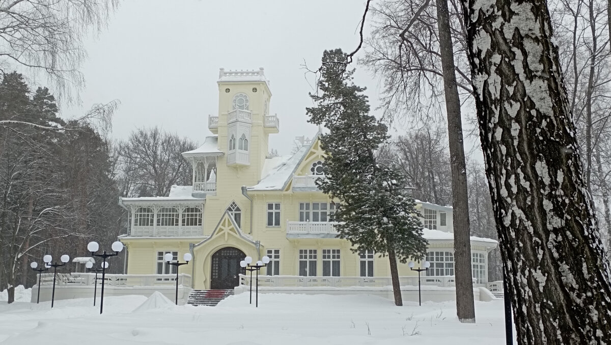    Дом, по контуру напоминающий корабль, и наклонённый кедр.