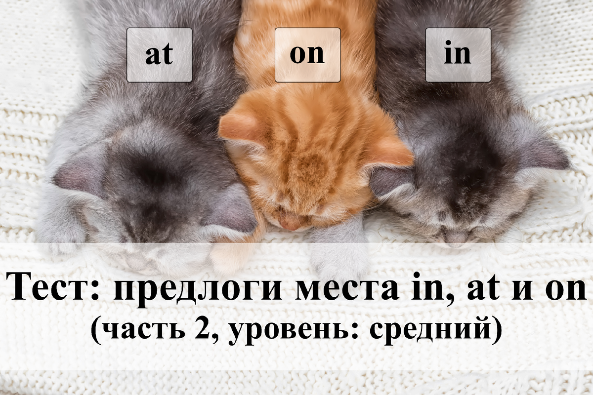 Тест: предлоги места in, at и on (часть 2, уровень: средний) | English Cats  | Дзен