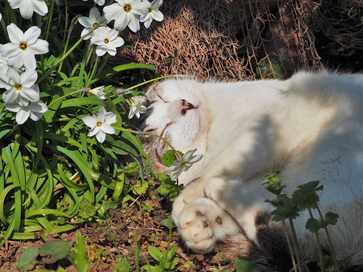 ���� ���������. �������� �������� ����� � �������� ������� ��� �������� ����������