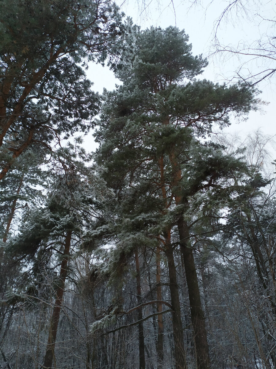 красота какая оказывается вокруг ))))