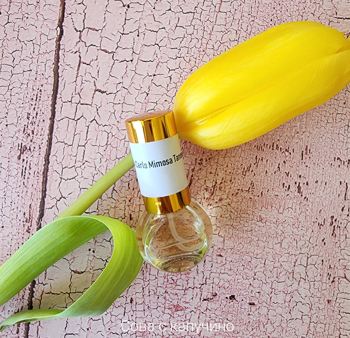 Мимозу, чтобы сделать фотографии, к сожалению нигде не нашла. Пришлось и тут заменить на тюльпан