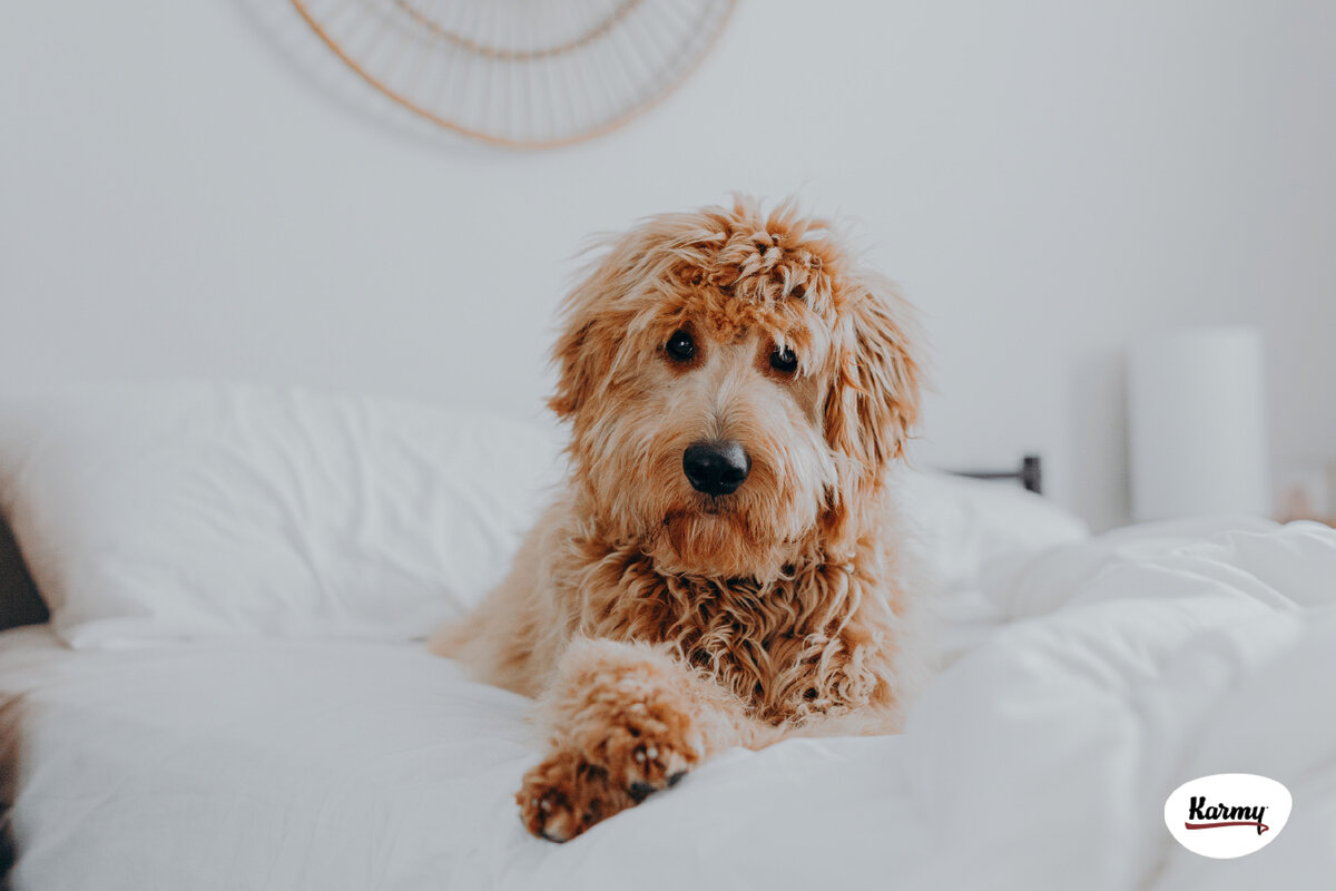 Авторское изображение с использованием картинки с фотостока "Unsplash"