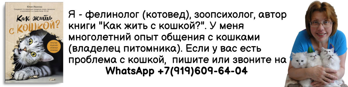 Боль - один из признаков болезни. "Малютка-котик болен" - это только в стишке выглядит красиво - в реальной жизни все гораздо печальнее... "Малютка котик был болен и лежал в своей кроватке.