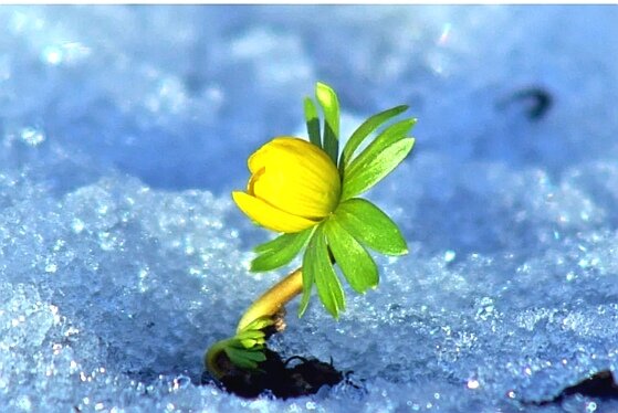 Новая жизнь в новом цикле... 