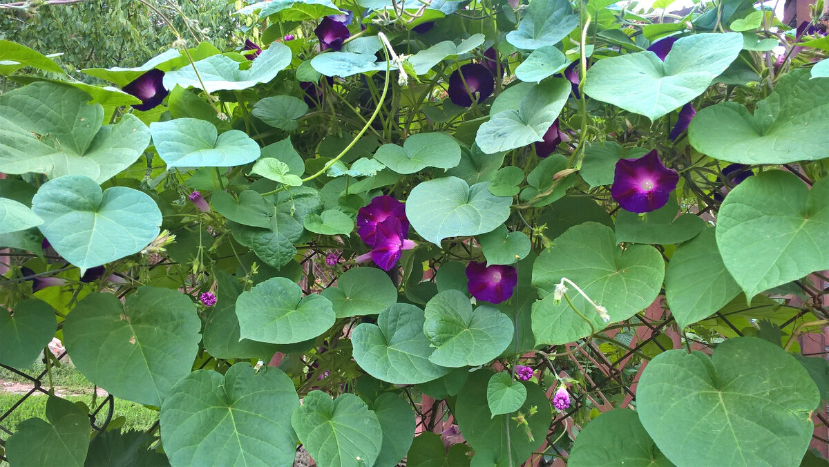 20 сентября 2022 года