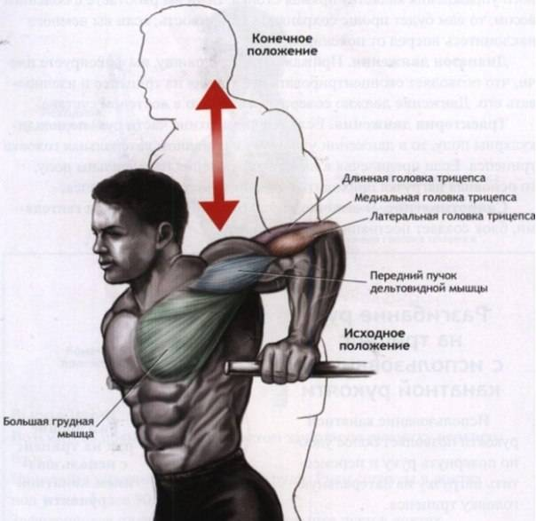 Схема накачки трицепса