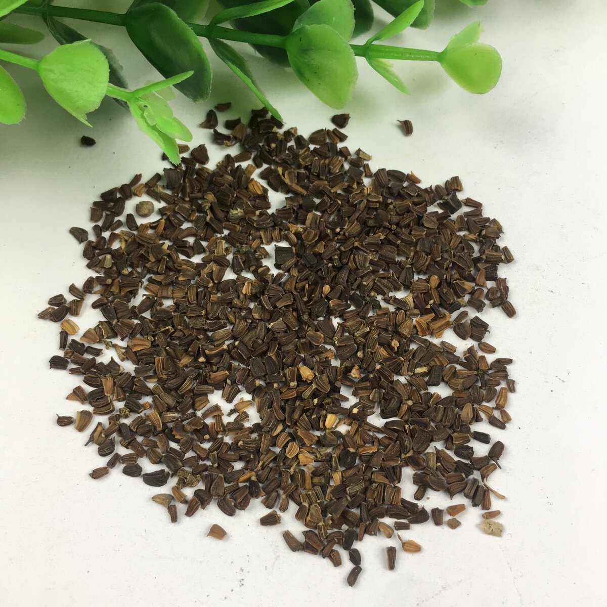 Encuentre el mejor fabricante de chrysanthemum seed y chrysanthemum seed para el