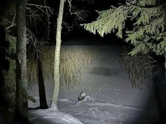     Госкомитет ЧС по РБ