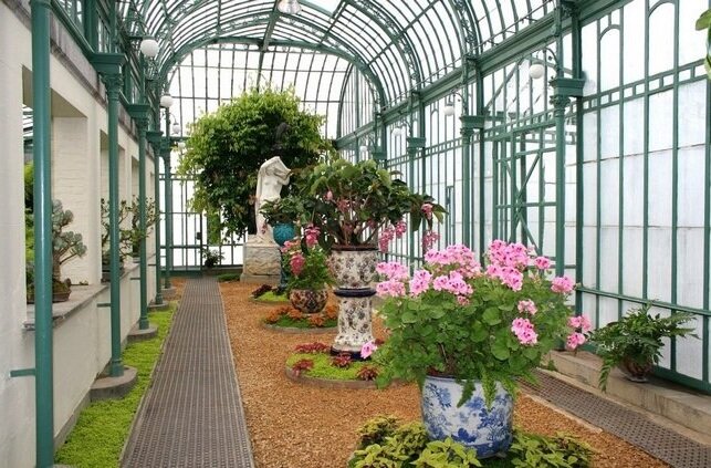 Королевские оранжереи в Бельгии