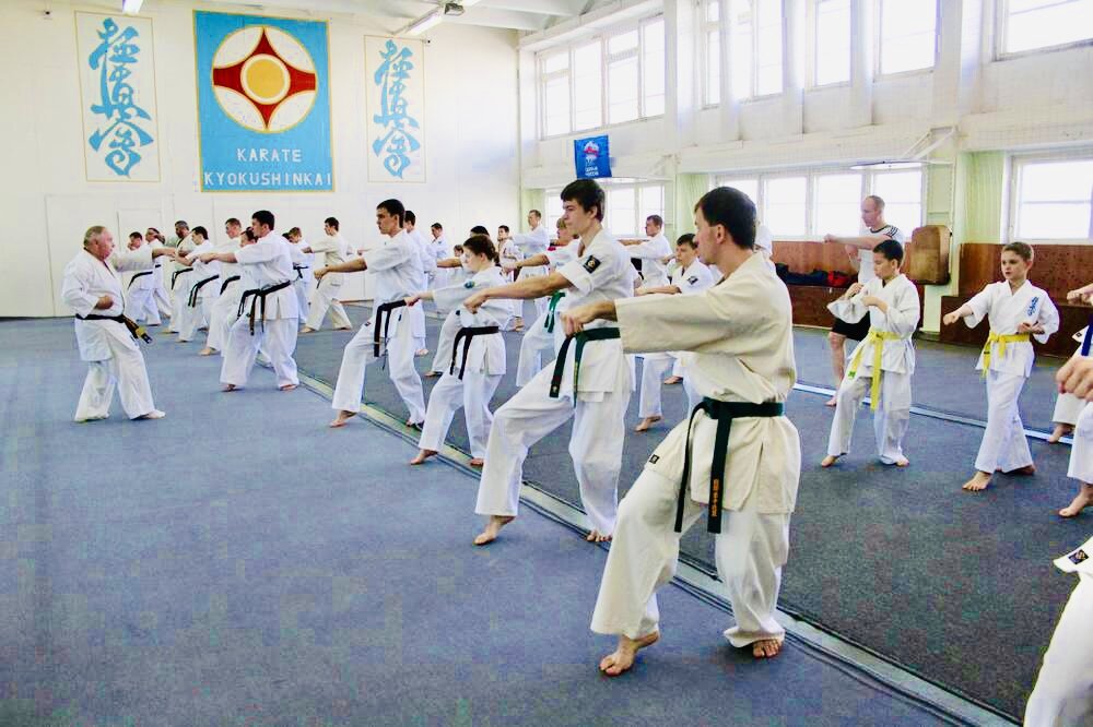 Изучение ката на тренировках