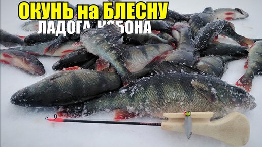 Блесны на окуня для зимней рыбалки. Что говорят опытные рыбаки