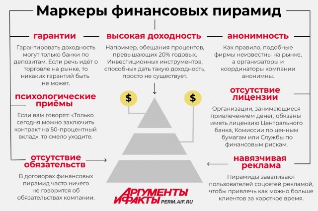    Фото:  Коллаж АиФ/ Татьяна Титова