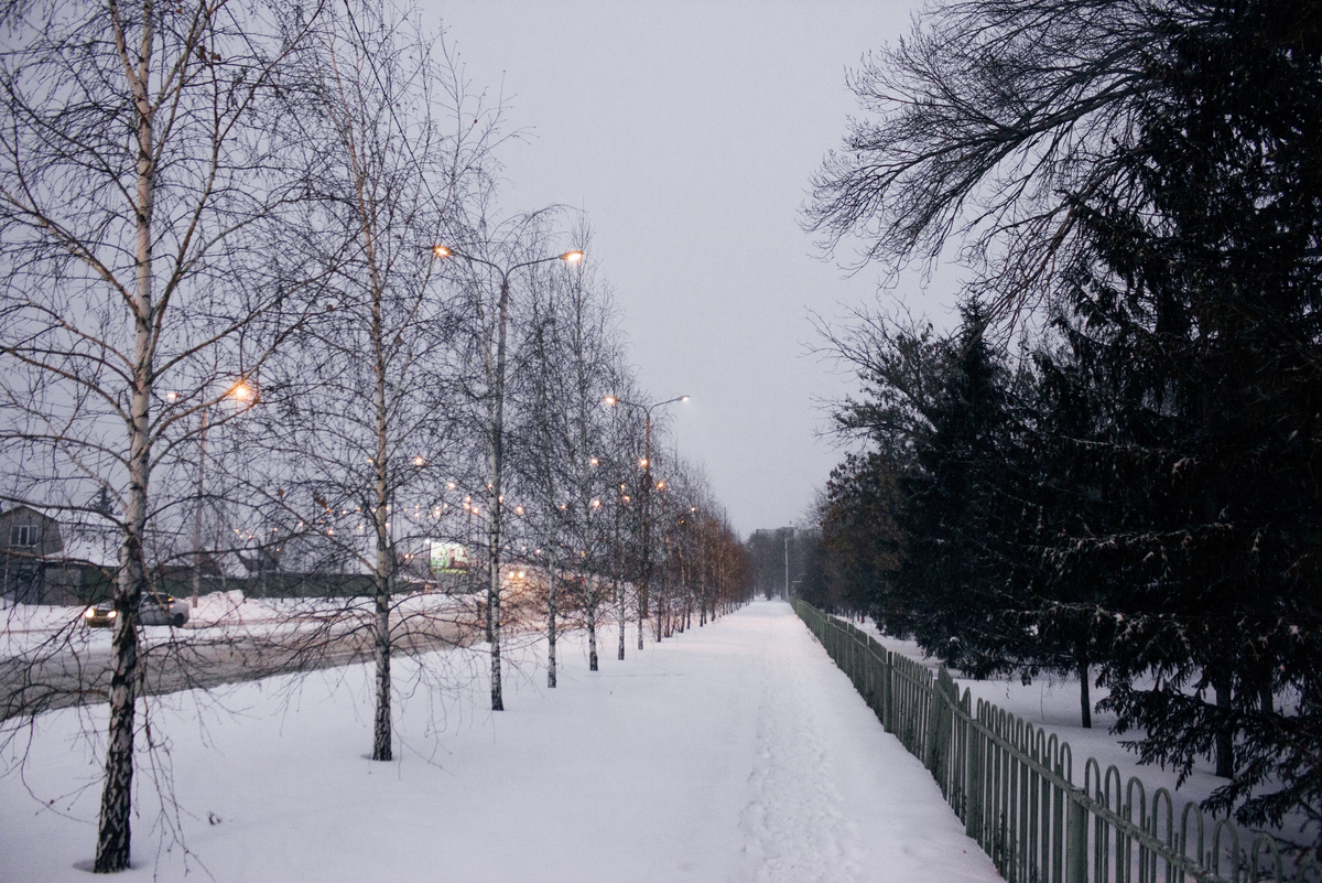 Анастасия Революционная ©