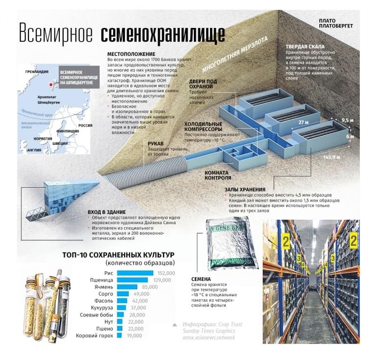 Проект хранилище судного дня