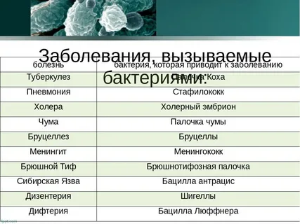 Какие болезни вызываемые бактериями вам известны