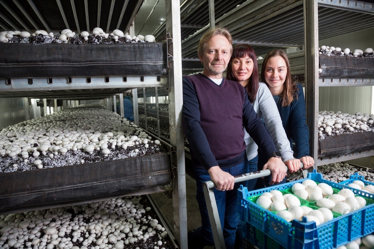 Взято из общего доступа.