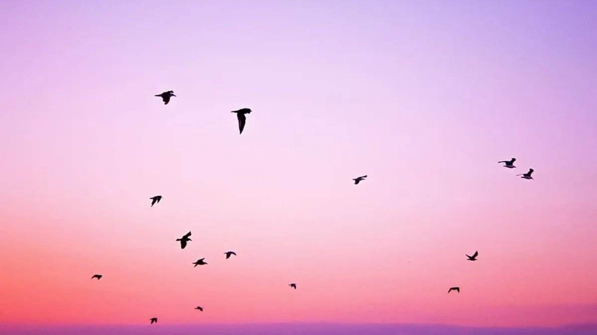 Будет 5-балльная магнитная буря длительностью в двое суток. Фото: www.piqsels.com