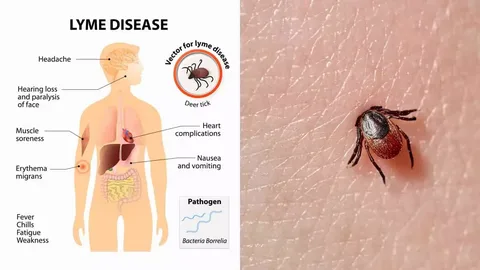 взято из общего доступа