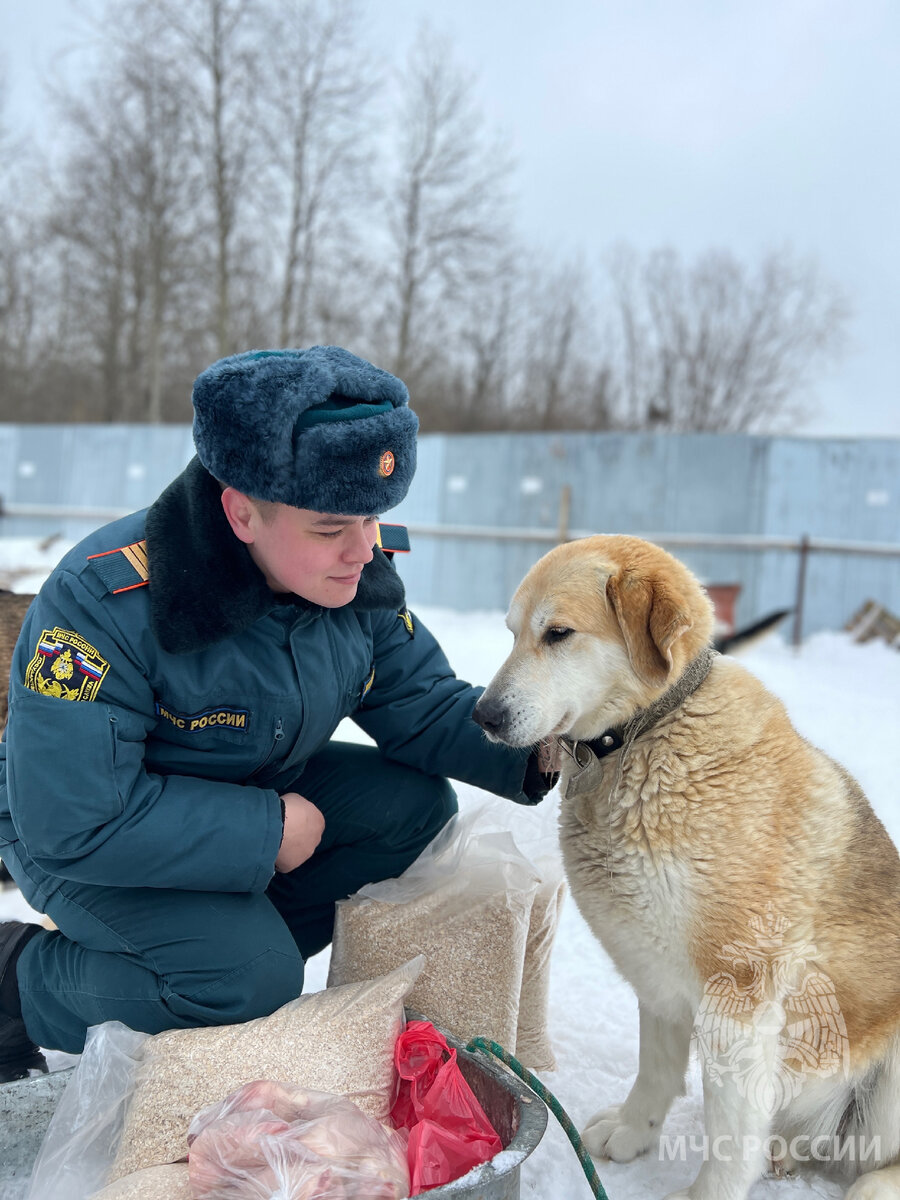 Сегодня, сотрудники 63 пожарно-спасательной части 27 пожарно-спасательного отряда Главного управления МЧС России по Пермскому краю в честь международного Дня добрых дел посетили собачий приют «Территория добра».
 
Приюту было передано 25 килограммов корма и мясных продуктов.
 
На сегодняшний день в приюте содержатся порядка 76 собак. Все они привиты и стерилизованы. Каждая из собак по-своему хороша и со своим уникальным, но при этом добродушным характером.
 
Творите добро, и оно к вам обязательно вернется!

#Деньдобрыхдел #МЧС #МЧСПЕРМСКИЙКРАЙ #МЧСРОССИИ 
#МЧСПФО #пожарные #59регион #ПОДСЛУШАНОПЕРМЬ 
#РОССИЯ #МЫ #ГУМЧСРОССИИПОПЕРМСКОМУКРАЮ 
#НОВОСТИ #БЕЗОПАСНОСТЬ