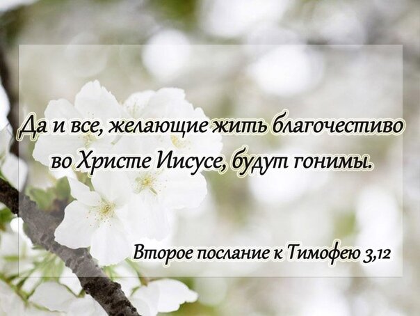Источник: Яндекс. Картинки