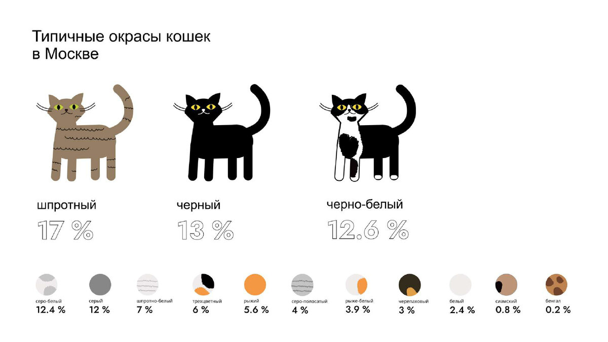 Наиболее популярные окрасы кошек в г. Москве