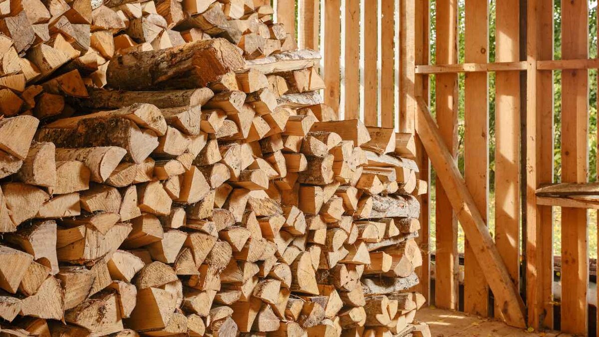 Фото: Vlad Antonov/Shutterstock.com