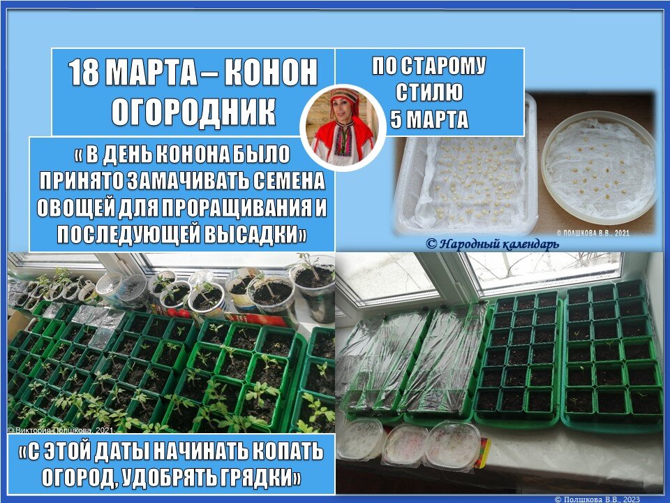 © Полшкова В.В., 2023 