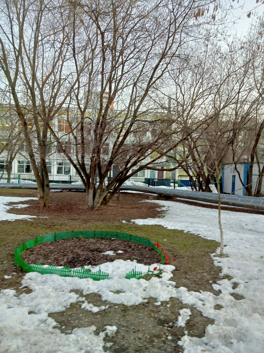 На улице весна, а я на работе)