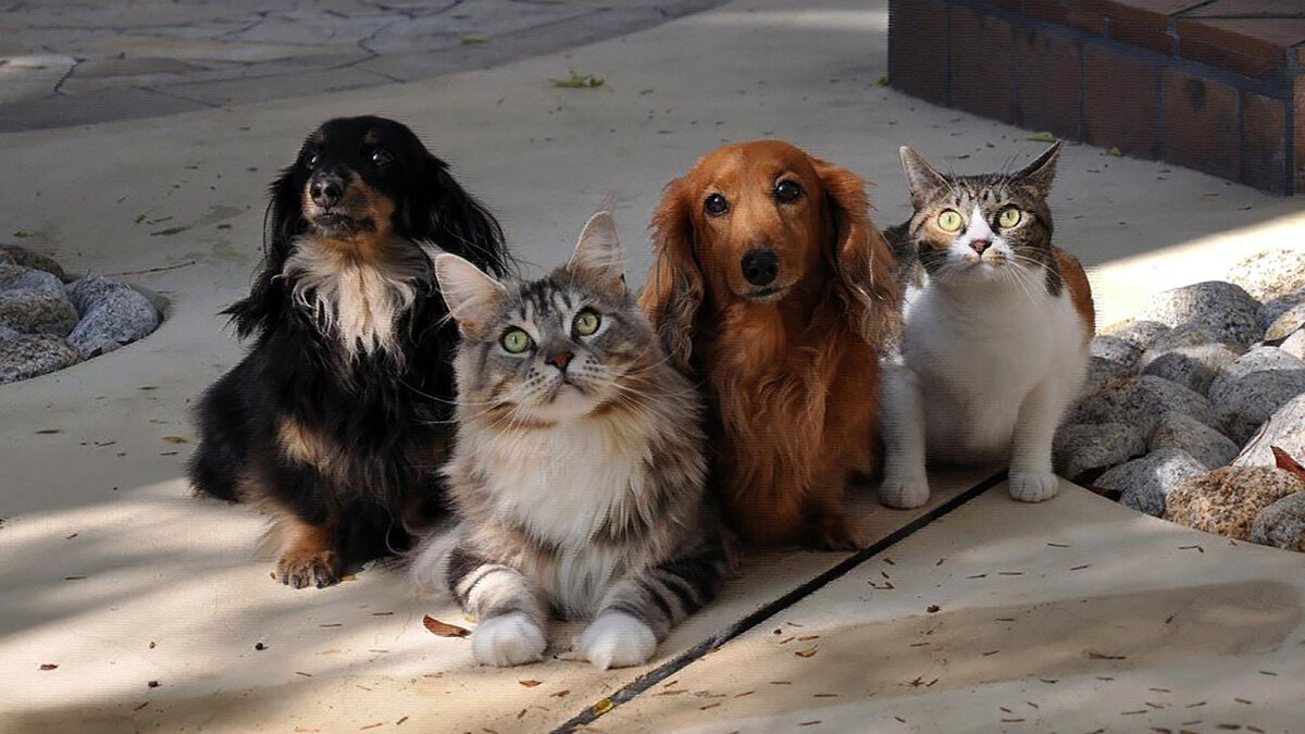 источник фото: i.pinimg.com