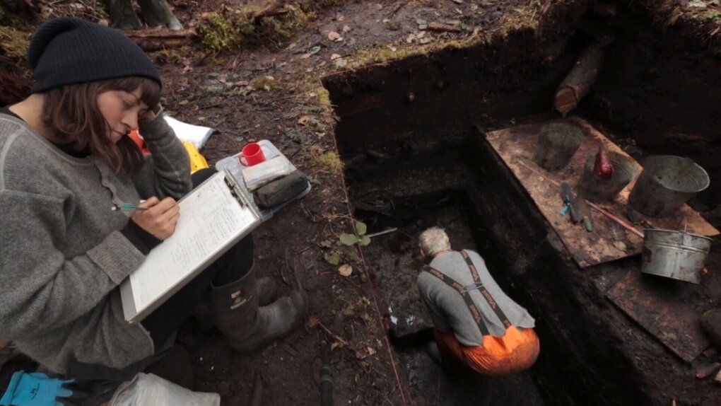 Э. 14 000 лет. Пещеры тюк д’одубер и монтеспан. Стивен стрейт 10000 лет до нашей эры. 14 000 лет.