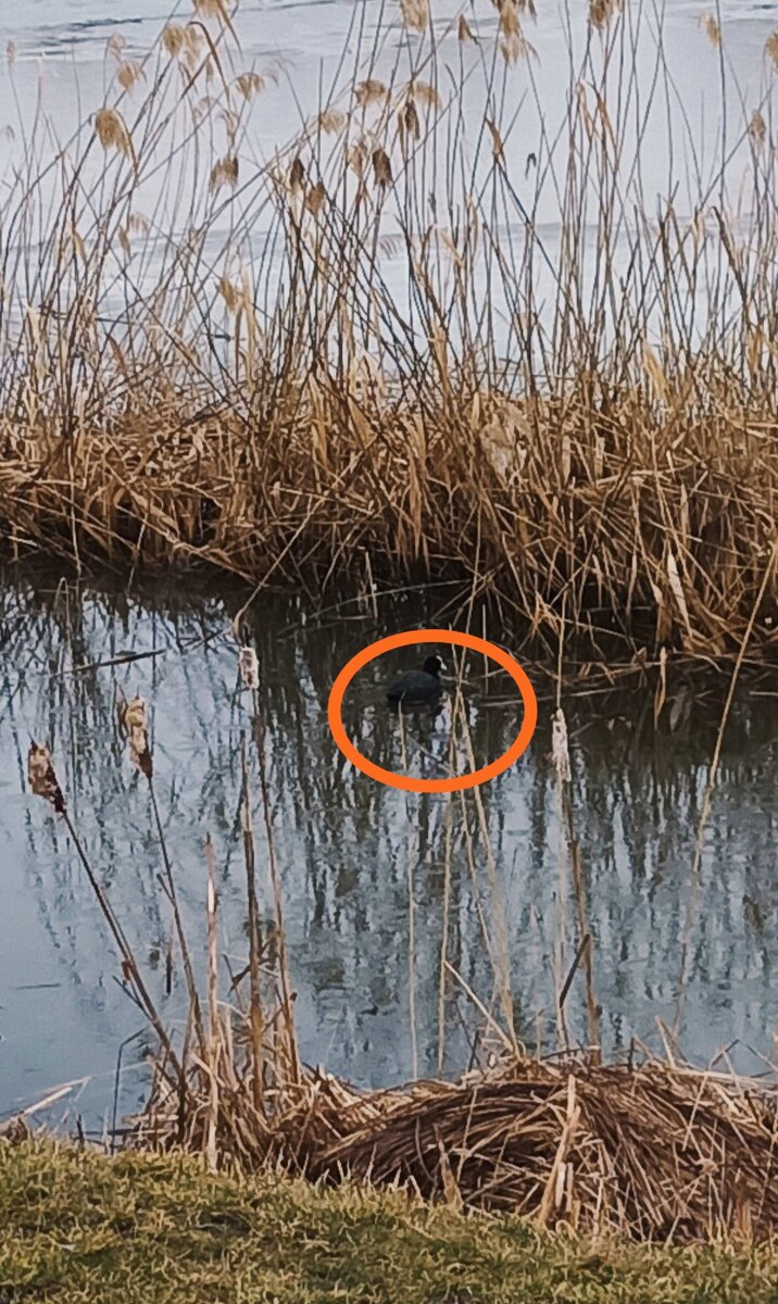 он же в плавающем виде