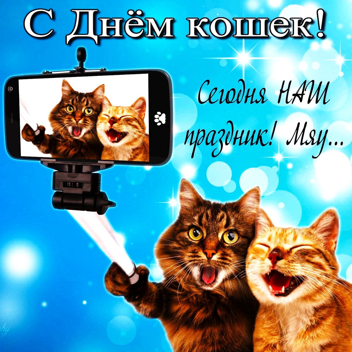 Открытка из интернета. Ссылка: https://yandex.ru/images/search?from=tabbar&text=день%20кошек%201%20марта