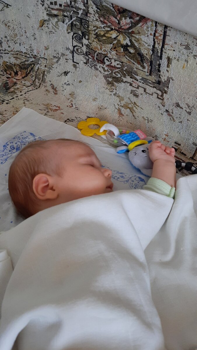 Сон в гостях