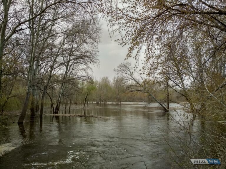    В Оренбургской области днем 20 марта ожидается от -2 до +8 градусов без осадков Андрей Севостьянов