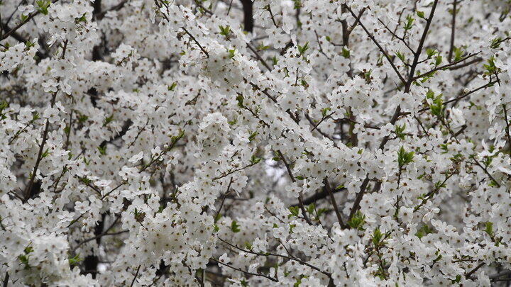 ФОТО:@KOMSOMOLSKAYA PRAVDA/GLOBALLOOKPRESS