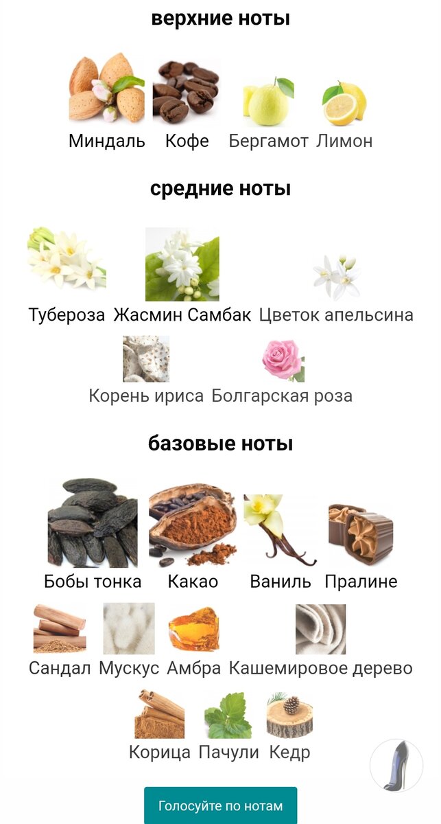 Пирамида Good Girl Carolina Herrera на сайте фрагрантике.