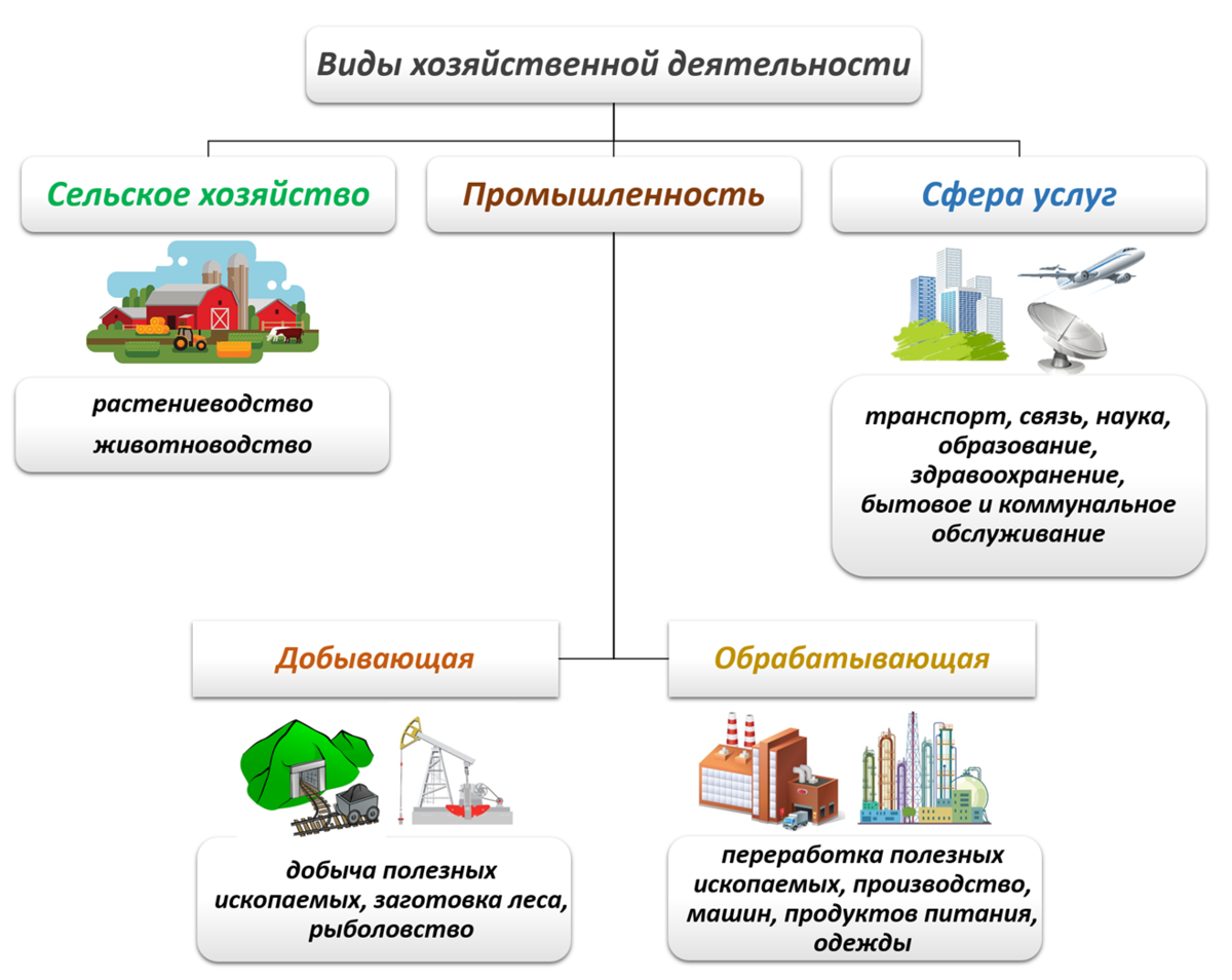 Предприятия оказывающие. Виды хозяйственной деятельности схема. Основные виды хозяйственной деятельности. Хозяйственная деятельность примеры. Основные виды хозяйственной деятельности людей.