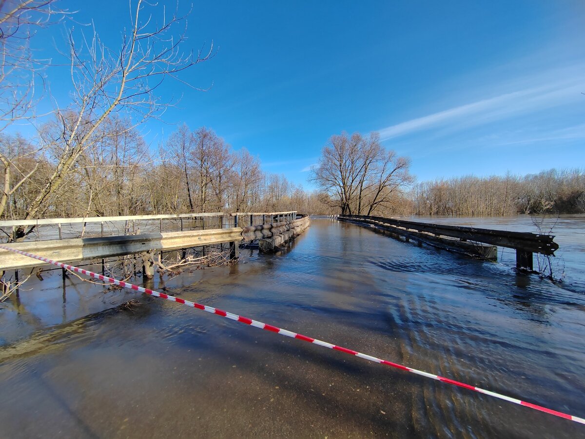 река в мичуринске